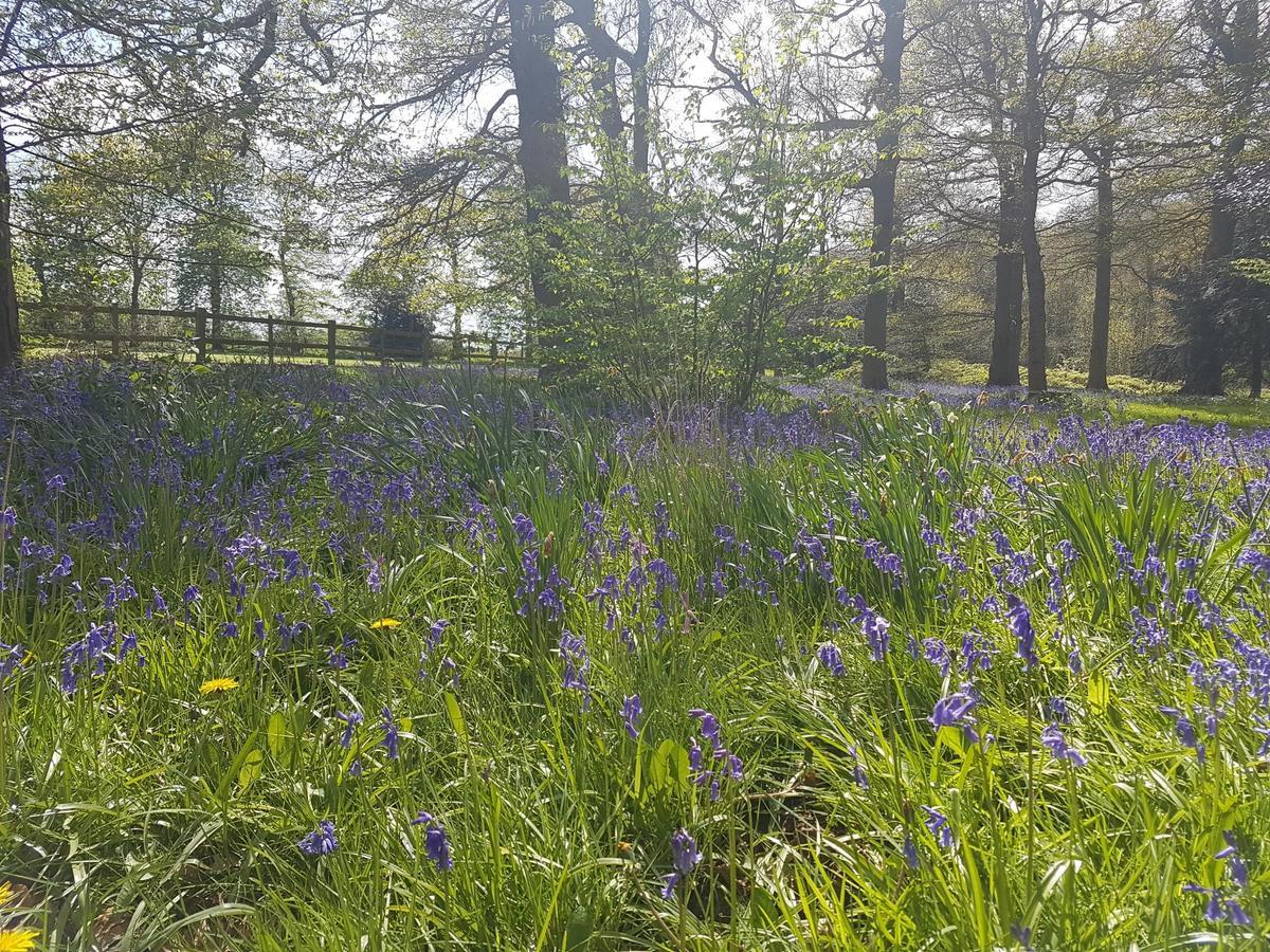 Kelham House Country Manor Hotel Newark-on-Trent  Экстерьер фото